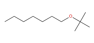 Heptyl tert-butyl ether
